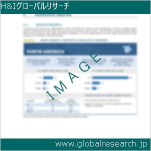 グローバルリサーチ調査レポートのイメージ